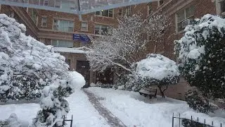 Seattle's U District during Snowfall Walk