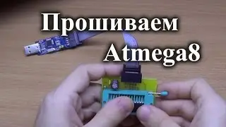 Обзор USBASP программатора и как прошить Atmega8