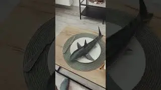 Baby shark