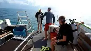 The Live Boating Skill