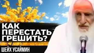 Что поможет отказаться от греха? Шейх Усаймин да помилует его Аллах