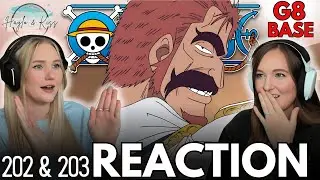 CHECKMATE?! | ONE PIECE | Reaction 202 & 203