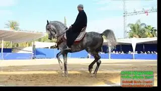 Дискачь