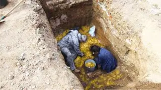 СОКРОВИЩА ЗАВОЕВАТЕЛЯ ЧИНГИСХАНА! КЛАД  ЗОЛОТА! ТАЙНА ЧЕРНОГО БРИЛЛИАНТА!