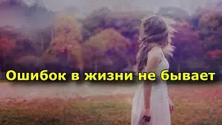 Ошибок в жизни не бывает.