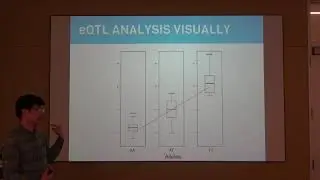 eQTL Analysis
