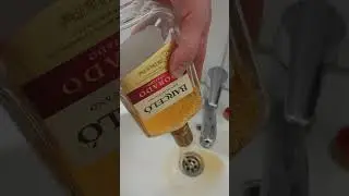 BARCELO dorado давай пока #shorts #short #shortvideo #шортс #шорт