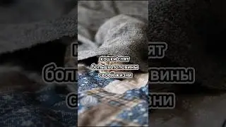 Несколько фактов обо всём #shorts #МирВсего #факты #интересно #позновательно #1минута