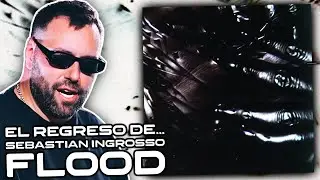 Análisis de Sebastian Ingrosso - Flood
