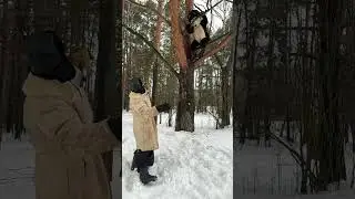 А вы уже успели познакомиться с Борисом Береста?