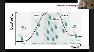 Will Shoemaker: The population dynamics and evolutionary outcomes of energy-limited microorganisms
