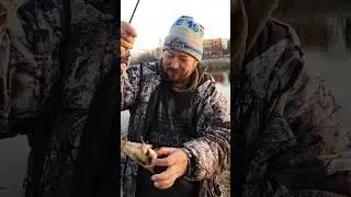 Одним аыстрелом двух зайцев. Новый мировой рекорд вонючих водопадов реки Миасс. #зимнийспиннинг