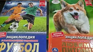 ЭНЦИКЛОПЕДИЯ с развивающими заданиями ФУТБОЛ и ЛЮБИМЫЕ ПИТОМЦЫ издательство УМКА.