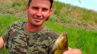 Ловля супер линя на раковую шейку! Рыбалка на крупного линя! Супер Линь на поплавок!