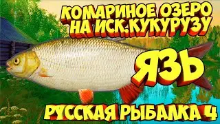 русская рыбалка 4 - Язь озеро Комариное - рр4 фарм Алексей Майоров russian fishing 4