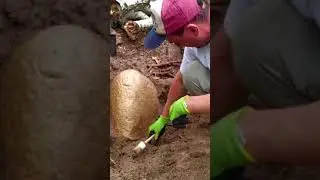 #shorts