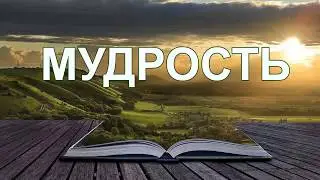 Красивое стихотворение: 