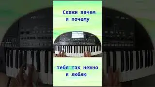 Скажи зачем и почему тебя так нежно я люблю