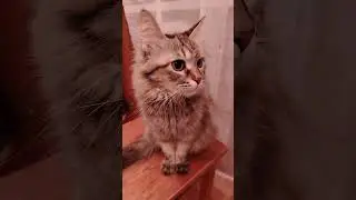 Главные законы Вселенной ❤️ 
