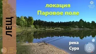 Русская рыбалка 4 - река Сура - Лещ и другие рыбы