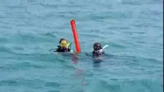 Surface Skills