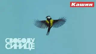 ХОТЯ ПРИНЯТЬ ЭТО СЛОЖНО