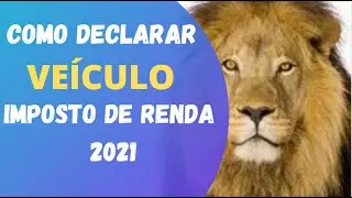 Como declarar veículo QUITADO no IRPF? - Imposto De Renda 2021