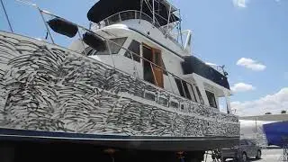 Zig Zag WOW