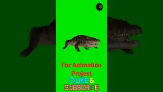 Crocodile walk #green #greenscreenvideo #animation