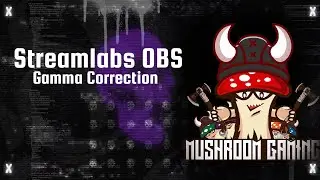 Streamlabs OBS 101 - Quick Tip on Gamma Filter - Night Time/Dark games