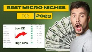 10 Best Micro Niche Blog Topics For US UK 2023 l Low KD high Search Volume