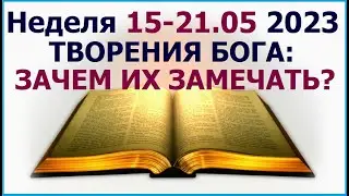 Неделя 15 - 21 мая 2023 г.: о том как заметить творения Бога. Свидетели Иеговы