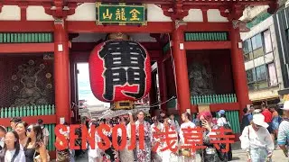 SENSOJI 浅草寺 A Day in Asakusa: Temples, Food, and Tradition