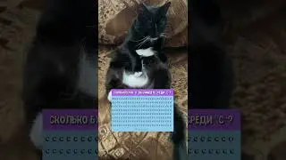 Сколько нашли?🤔