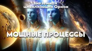 ИЗМЕНЕНИЯ ОБЩЕПЛАНЕТАРНОЙ ЖИЗНИ! Темные Будут Стерты с Лица Земли! | Абсолютный Ченнелинг