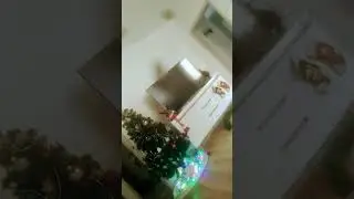 24 декабря 2022 г.