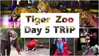 Thailand Travel guide Pattaya Bangkok City sriracha tiger zoo Day 5