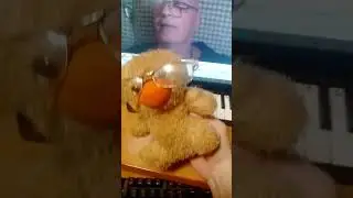 Знакомтесь, Толян.
