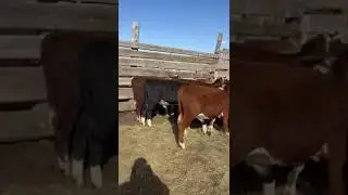 Всё равно скучаю по этому вид деятельности