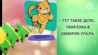- Дорогой, у меня положительный тест. Прикольные анекдоты дня!