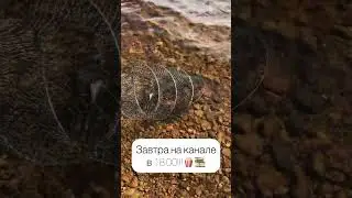 Первая форель Таёжного 