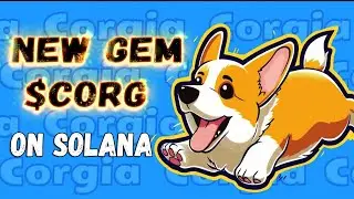 Новый мем токен $CORG только что вышел в продажу на Solana!