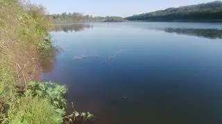 ЛЕТНИЕ ЗАРИСОВКИ .