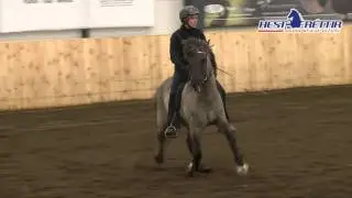 Særekur frá Torfastöðum - Sölusýning Harðar 31. Mars 2011