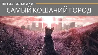 Мурка мурмяунчанка (А. Базанов - Н. Колычев). Бардовская песня в Мурманске.