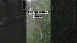 Как правильно жить... #мудростьдня #мотивациядня #мотивациянауспех