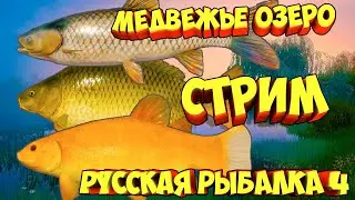 русская рыбалка 4 медвежье озеро рр4 стрим Алексей Майоров russian fishing 4 фарм