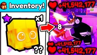 I Used RAREST PETS and STRONGEST SWORDS To BEAT Roblox Sword Warrior Simulator..