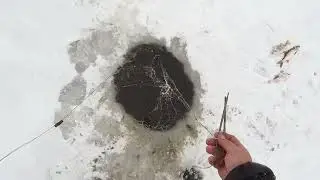 Очередная  проверка  сетей..Оставили  ещё  на  пару  дней.