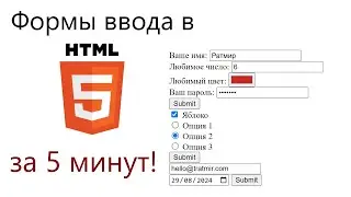 №10 | Формы Ввода | Основы HTML